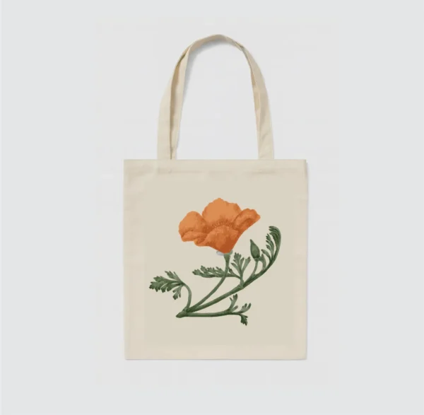 California Poppy